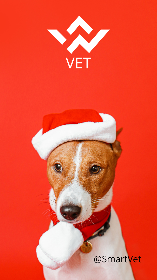 Most Common: 18x24 on #100-G